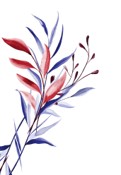 reddysoulmate-error-shape